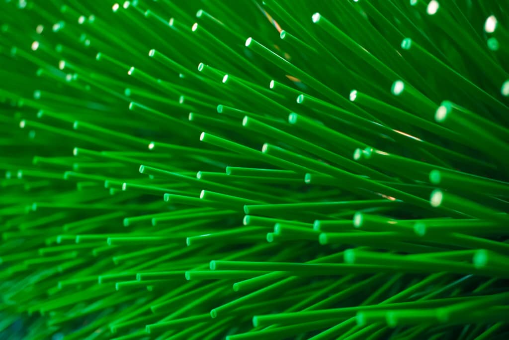 Spazzola Strip avvolta